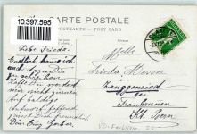 1820 Montreux 1910 Lithographie Narzissen Passepartout