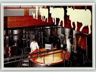 9063 Stein AR - Käser beim käsen und weisse Kühe an der Decke