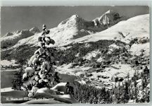 7500 St. Moritz - Piz Albana Piz Julier Winter