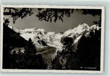 7504 Pontresina - Berninagruppe Bäume