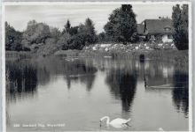 8580 Amriswil Räuchlisberg - See, Schwan