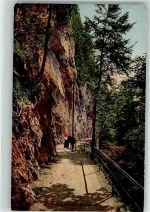 6363 Bürgenstock - Felsenweg