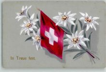 1916 Gebrauchsspuren In Treue fest Flagge Edelweiss Bahnpost Zug 118