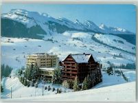 9658 Wildhaus Foto AK Foto Gross Winter Hotel Acker-Montana