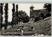 8640 Rapperswil SG - Schloss und Hirschpark