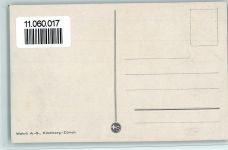 3860 Meiringen - Aareschlucht die Nase