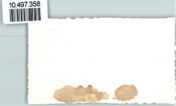 3507 Biglen FOTO KEINE AK Hotel Bären Inh. Familie Berchtold Blumenkästen Kirchturm Neujahr Foto 10cm x 7cm, rückseitig Haftspuren