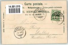 6410 Goldau 1905 Foto AK Hotel Pension Schönegg