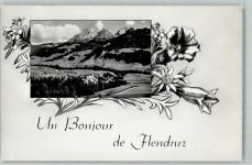 1659 Flendruz Gebrauchsspuren Edelweiss und Enzian