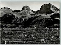 Gantrisch Gebrauchsspuren Nünenen Krummfadenfluh