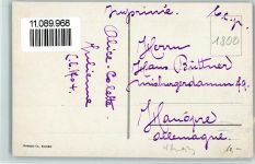 1800 Vevey - Les Jardins du Casino et Dents du Midi