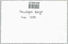 8816 Hirzel Spitzen - Musikfest Mai 1953, Foto-Karte