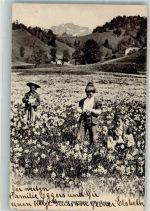 1815 Clarens 1907 - Ort lt. Stempel Narzissenwiese Kinder Tracht
