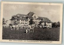 3110 Münsingen 1919 Foto AK Kant. Landwirtschafts- und Haushaltungsschule Schwand