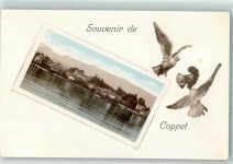 1296 Coppet 1917 Passepartout Tauben