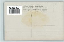 Eröffungsfeier der B.S.B. - Trachtengruppe Motiv Schweiz 1927 Foto AK