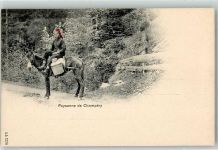 1874 Champéry - Bäuerin auf Maulesel