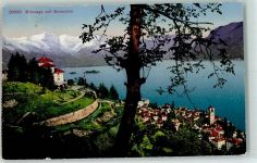 6614 Brissago 1923 - mit Brenscino Baum