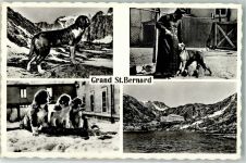 Hospiz Großer Sankt Bernhard Pass Foto AK Mönch Bernhardinerhund Foto Perrochet