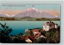 3654 Gunten 1914 - Park-Hotel Gunten am Thunersee Niesen