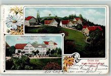 9428 Walzenhausen 1906 - Gasthaus Pension Zur Sonne