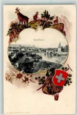 4500 Solothurn Soleure 1903 Prägedruck Gämsen Wappen Rucksack Passepartout Lithographie