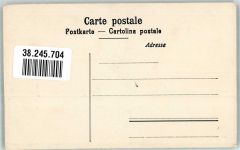 Thun Vogelschau Thunersee Brienzersee Motiv Schweiz Foto AK