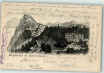 6363 Bürgenstock 1903 - Hammetschwand
