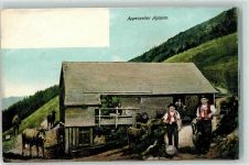 9050 Appenzell - Appenzeller Alphütte Sennen Kühe