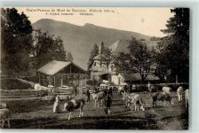 1446 Baulmes - Chalet-Pension du Mont de Baulmes Altitude Rindviehherde