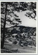 8495 Schmidrüti Sitzberg