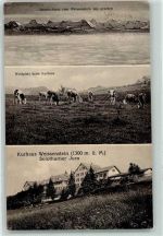 4500 Solothurn Soleure - Berner-Alpen vom Weissenstein gesehen Weidplatz beim Kurhaus Kühe Kurhaus Weissenstein