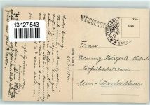 4500 Solothurn Soleure - Berner-Alpen vom Weissenstein gesehen Weidplatz beim Kurhaus Kühe Kurhaus Weissenstein