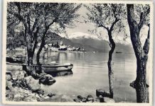 6614 Brissago Brenscino