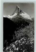 3920 Zermatt - Ruggenfeld bei Findelen Matterhorn