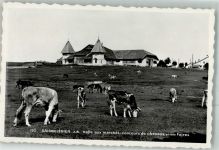 2350 Saignelégier 1954 Foto AK Halle aux marchés