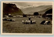 7050 Arosa 1913 - Knabe mit Schafherde Ort handschriftlich