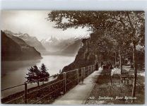 6377 Seelisberg - Hotel Bellevue