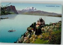 6354 Vitznau Foto AK Park- Hotel Vierwaldstädter See