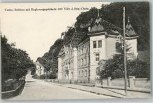 9490 Vaduz - Schloss mit Regierungsgebäude u. Villa d. Reg.-Chefs