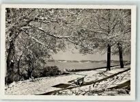 3000 Bern Berne - Winter Nebelmeer