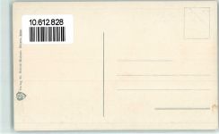 3800 Interlaken - Dampfschiffeinfahrt Jungfrau