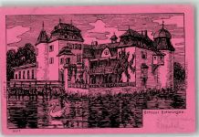 4103 Bottmingen 1899 Künstlerkarte Schloss Bottmingen sign. Bürgy ?