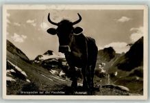 6363 Fürigen - Ort lt. Stempel Kuh Grenzposten