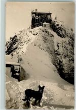 Schwägalp - Winter Säntisgipfel Hund