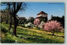 8400 Winterthur 1923 Foto AK Schloss Mörsburg