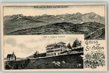 9413 Oberegg 1907 - Hotel u. Kurhaus Alpenhof Kühe St. Anton