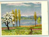 Murten Morat sign. Gos Francois Murtensee Pro Infirmis Schweiz Künstlerkarte