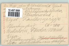 3818 Grindelwald - Wetterhorn