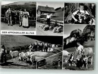 9050 Appenzell - Appenzeller Alltag